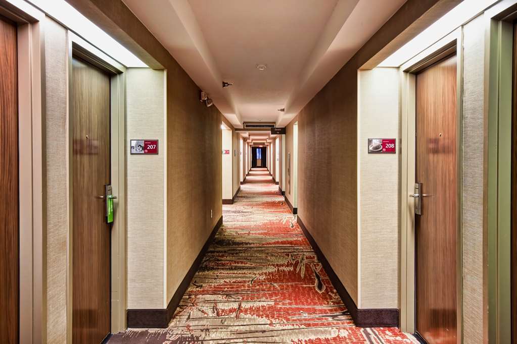 Hampton Inn Starkville Interior foto